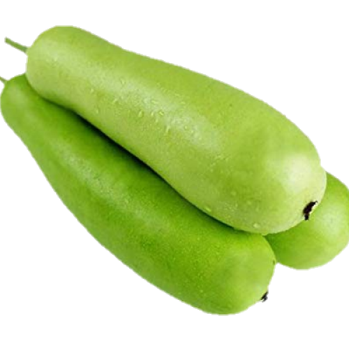 Bottle-gourd