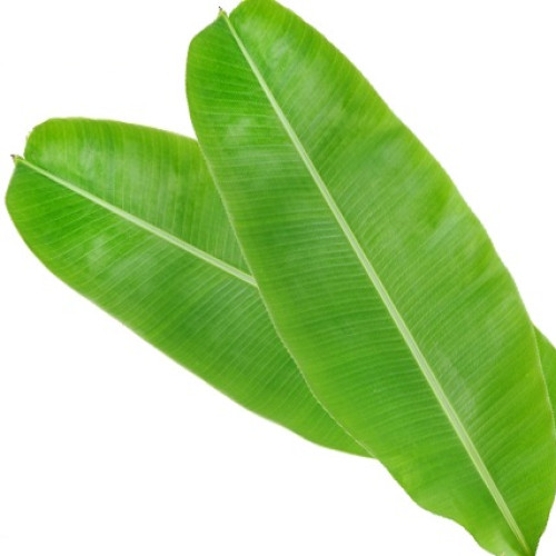 Banana-leaves