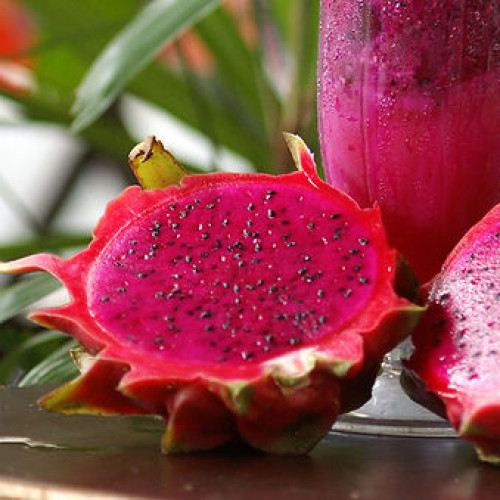 Dragon fruit red