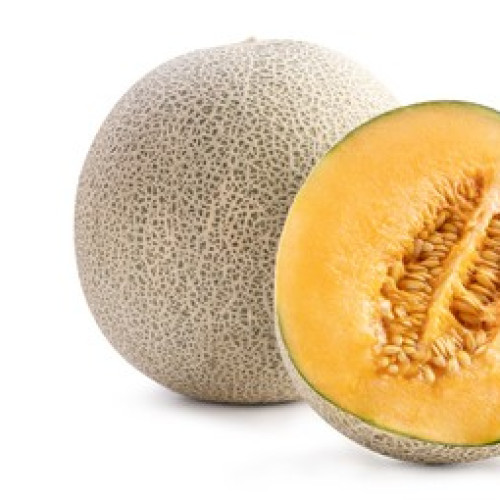 Rock melon