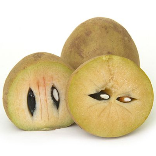 Sapodilla