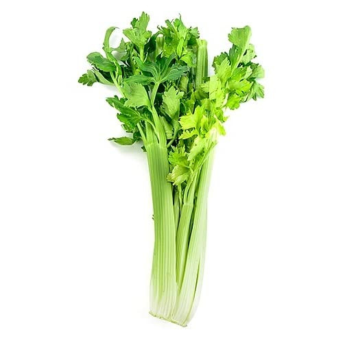 Celery