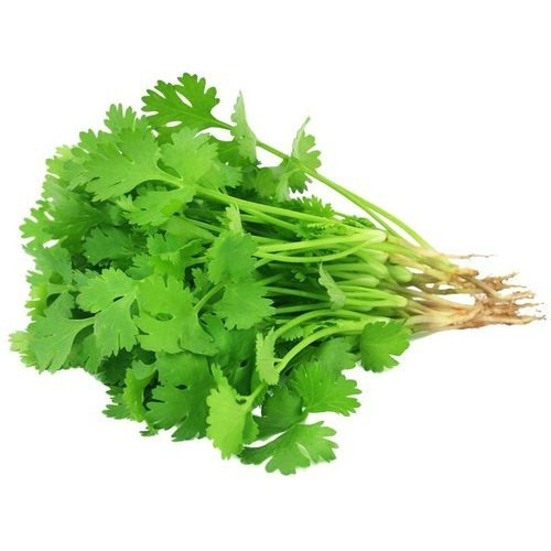 Coriander-leaves