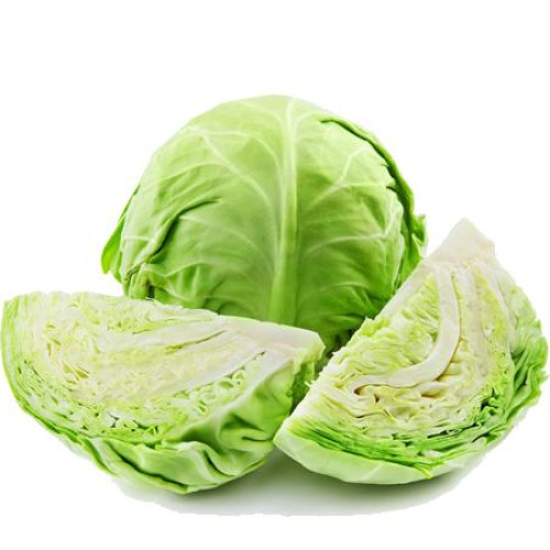 Cabbage