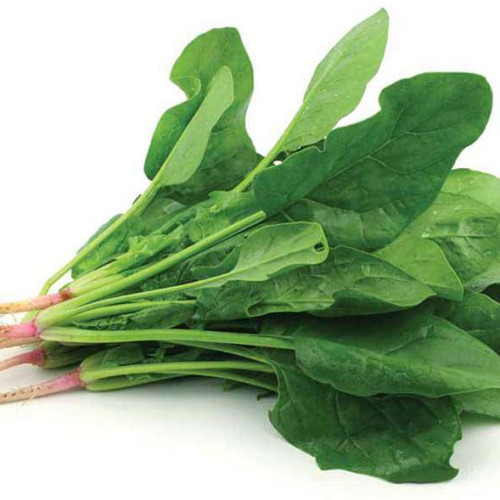 Palak green