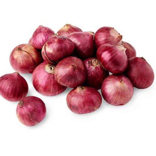 Shallot