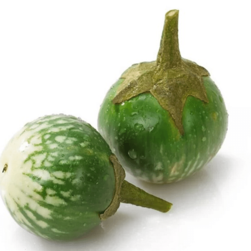 Eggplant thai green