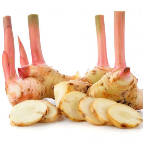 Galangal